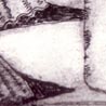 Bottle and Shell,2008, Etching 10x10cm, edition of 6